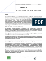 Capitulo_20.pdf