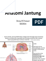 Anatomi DN Histologi Jantung