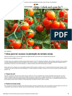 7 Dicas para Ter Sucesso Na Plantação de Tomate Cereja