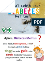 Penyuluhan Diabetes Melitus Prolanis PKM Bades
