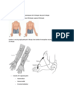 Tennis Elbow