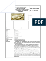 Format Paleon Indri