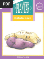 A Cultura Da Batata Doce