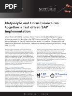 Netpeople and Horus Finance Run Together A Fast Driven Sap Implementation