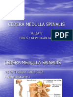 Cedera Medulla Spinalis