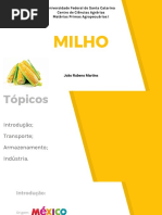 Seminário Milho