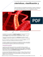 Lípidos - Características, Clasificación y Funcioneslipidos - Trigliceridos - Colesterol - Grasa - Liposoluble - Vitaminas - Sebo - Pelo - Tejido Adiposo - COSMETOLOGAS