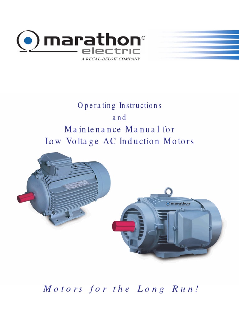 Low Voltage AC Induction Motor Manual | PDF | Belt (Mechanical ...