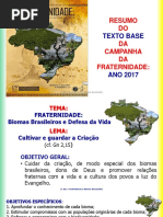 campanhadafraternidade2017cf2017biomasbrasileirosresumodotextobase-170209201557