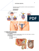 11.sistema_genital.SOUDEFISIO.pdf