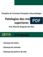 IBMR Patologias Dos MMSS 2011 2