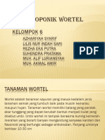 Hidroponik Wortel