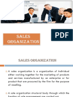Chapter 3 Sales Organization