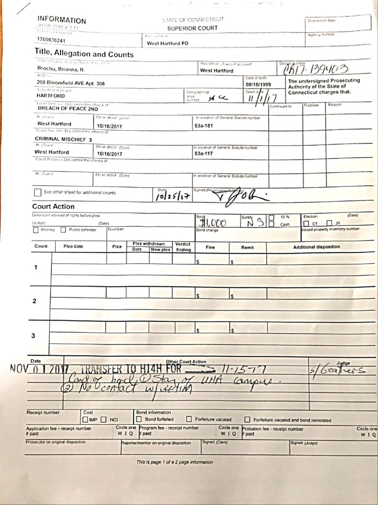 Brianna Brochu Court Documents - Redacted | PDF