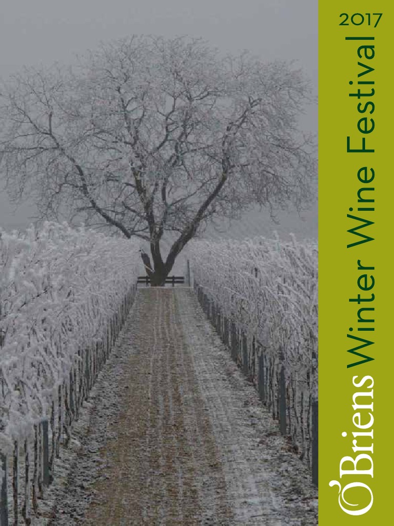 OBriens Wine Festival Dublin Brochure PDF Aroma Of Wine Wine