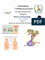  Anatomia de La Glandula Tiroides