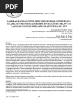 Bandas Onduladas Bauru