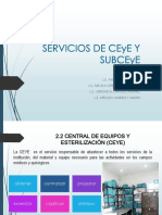 Servicios de Ceye y Subceye