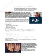 Sušenje Mesa PDF
