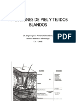 Infecciones de Piel y Partes Blandas