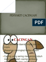 Penyakit Cacingan 1