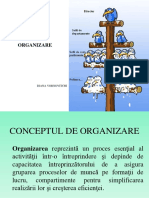functia de organizare tema.pdf