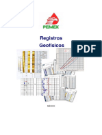 234778874-Registros-Geofisicos-PEMEX.pdf