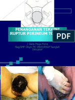 Penanganan Terkini Ruptur Perineum Totalis: I Gede Mega Putra Bag/SMF Obgin FK UNUD/RSUP Sanglah Denpasar