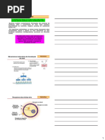 Aula Hormonios .pdf (1)