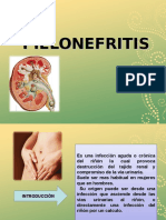 13. Pielonefritis Terminado