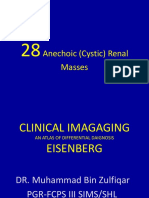 anechoic cystic renal masses.pdf