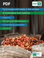 Hlpe Flw Report 8 En Food Systems Sustainability