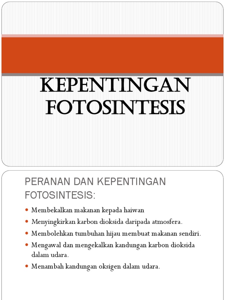 Kepentingan Tumbuhan Kepada Manusia Dan Haiwan Voooty