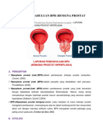 Laporan Pendahuluan Bph