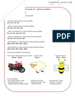 Fisa Sunetul B Emitere Si Consolidare PDF