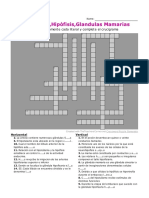 Crucigrama 1 PDF