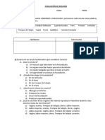 Evaluación 3ro B