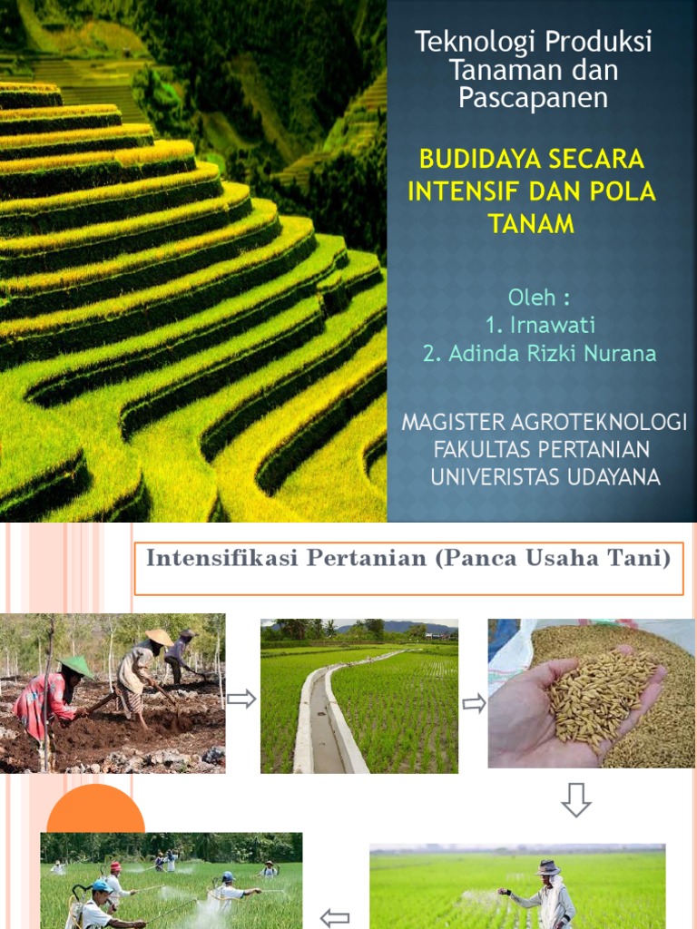 Optimalisasi Pola Tanam Buah-buahan Sesuai Iklim Lokal