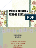 Asuhan Primer 6 Minggu Pertama