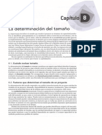 08 - La Determinacion del Tamaño.pdf