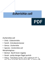 Escherishia coli.pptx