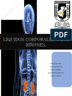 Revista de Fisiologia renal guton y hall