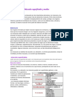 Músculos superficiales y medios: clasificación, estructura y función