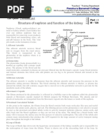 Download M - 126 Structure of nephron and function of the kidneypdf by Dr Tapan Kr Dutta SN363315292 doc pdf
