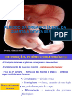 4º A 8º Semana Fetal