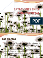 Adaptaciones en El Reino Vegetal (21!04!10)