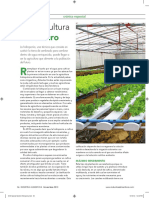 Hidroponia Agricultura Del Futuro