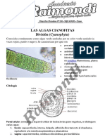 LAS ALGAS CIANOFITAS (1).pdf