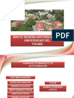 Historiauniversidaddeltolima 131109205809 Phpapp01 PDF