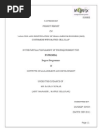 Download Matrix Cellular International Ltdproject-final by SANDEEP SINGH SN36333942 doc pdf
